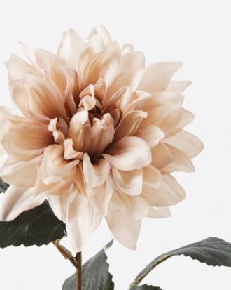 Artificial Flower 18*18*59cm Dahlia single stem GS-52824025-W1 2024Oct YeahFlower is one of Chinese leading OEM manufacturers and exporters , supplying the silk flowers, wholesale artificial trees Artificial Flower 18*18*59cm Dahlia single stem GS-52824025-W1 2024Oct YeahFlower is one of Chinese leading OEM manufacturers and exporters , supplying the silk flowers, wholesale artificial trees