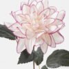 Artificial Flower Dahlia single stem GS-52824027-W2_6 Artificial Flower 18*18*59cm Dahlia single stem GS-52824027-W2 2024Oct YeahFlower is one of Chinese leading OEM manufacturers and exporters , supplying the silk flowers, wholesale artificial trees