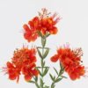 Artificial Flower 22*22*76cm Flower *3 single stem GS-73024013 2024Oct YeahFlower is one of Chinese leading OEM manufacturers and exporters , supplying the silk flowers, wholesale artificial trees