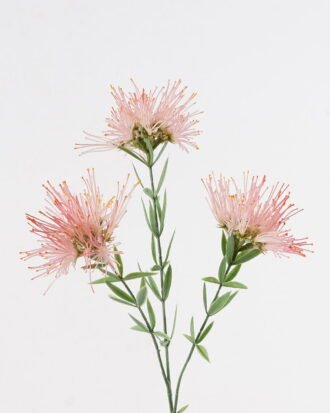 Artificial Flower 25*25*76cm Flower *3 single stem GS-73024015 2024Oct YeahFlower is one of Chinese leading OEM manufacturers and exporters , supplying the silk flowers, wholesale artificial trees Artificial Flower 25*25*76cm Flower *3 single stem GS-73024015 2024Oct YeahFlower is one of Chinese leading OEM manufacturers and exporters , supplying the silk flowers, wholesale artificial trees