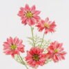 Artificial Flower Happy chrysanthemum single stem GS-68124002-P2_4 Artificial Flower 25*25*85cm Happy chrysanthemum single stem GS-68124002-P2 2024Oct YeahFlower is one of Chinese leading OEM manufacturers and exporters , supplying the silk flowers, wholesale artificial trees
