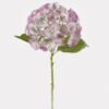 Artificial Flower 25*25*52cm Hydrangea single stem GS-68624001-Z2 2024Oct YeahFlower is one of Chinese leading OEM manufacturers and exporters , supplying the silk flowers, wholesale artificial trees
