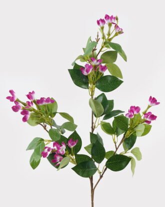 Artificial Flower 25*25*82cm Jasmine *3 single stem GS-42724004 2024Oct YeahFlower is one of Chinese leading OEM manufacturers and exporters , supplying the silk flowers, wholesale artificial trees Artificial Flower 25*25*82cm Jasmine *3 single stem GS-42724004 2024Oct YeahFlower is one of Chinese leading OEM manufacturers and exporters , supplying the silk flowers, wholesale artificial trees