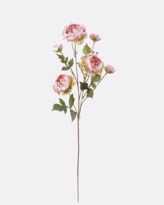 Artificial Flower 22*22*80cm Land lotus *6 single stem GS-58824039-P1 2024Oct YeahFlower is one of Chinese leading OEM manufacturers and exporters , supplying the silk flowers, wholesale artificial trees Artificial Flower 22*22*80cm Land lotus *6 single stem GS-58824039-P1 2024Oct YeahFlower is one of Chinese leading OEM manufacturers and exporters , supplying the silk flowers, wholesale artificial trees