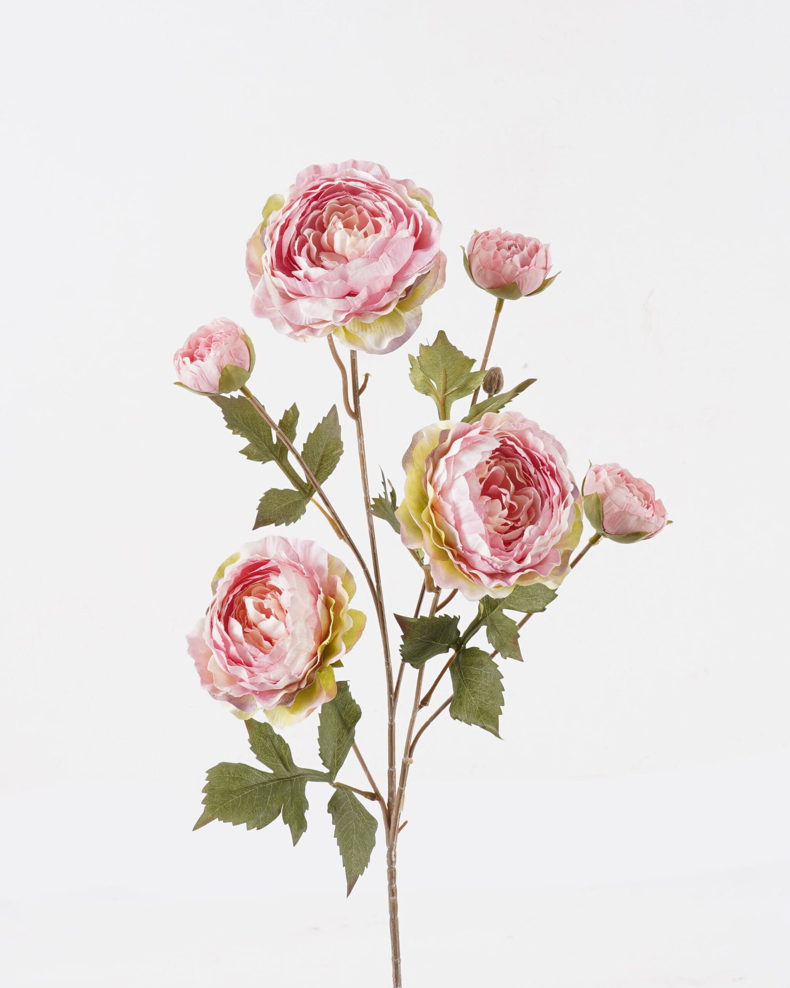 Artificial Flower 22*22*80cm Land lotus *6 single stem GS-58824039-P1 2024Oct YeahFlower is one of Chinese leading OEM manufacturers and exporters , supplying the silk flowers, wholesale artificial trees Artificial Flower 22*22*80cm Land lotus *6 single stem GS-58824039-P1 2024Oct YeahFlower is one of Chinese leading OEM manufacturers and exporters , supplying the silk flowers, wholesale artificial trees