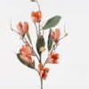 Artificial-Flower-Magnolia-flower-single-stem-GS-58824045-O1_4-1.jpg Artificial Flower 19*19*92cm Magnolia flower single stem GS-58824045-O1 2024Oct YeahFlower is one of Chinese leading OEM manufacturers and exporters , supplying the silk flowers, wholesale artificial trees