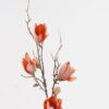 Artificial-Flower-Magnolia-flower-single-stem-GS-58824049-O1_4-1.jpg Artificial Flower 19*19*80cm Magnolia flower single stem GS-58824049-O1 2024Oct YeahFlower is one of Chinese leading OEM manufacturers and exporters , supplying the silk flowers, wholesale artificial trees