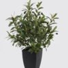 Artificial Flower 45X45X68cm Olive tree in PP pot GS-59524049 2024Oct YeahFlower is one of Chinese leading OEM manufacturers and exporters , supplying the silk flowers, wholesale artificial trees
