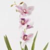 Artificial Flower 20*20*58cm Orchid bush GS-75224003 2024Oct YeahFlower is one of Chinese leading OEM manufacturers and exporters , supplying the silk flowers, wholesale artificial trees