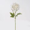 Artificial Flower Peony single stem real touch GS-75324010-W1_1 Artificial Flower 12*12*60cm Peony single stem(real touch) GS-75324010-W1 2024Nov YeahFlower is one of Chinese leading OEM manufacturers and exporters , supplying the silk flowers, wholesale artificial trees