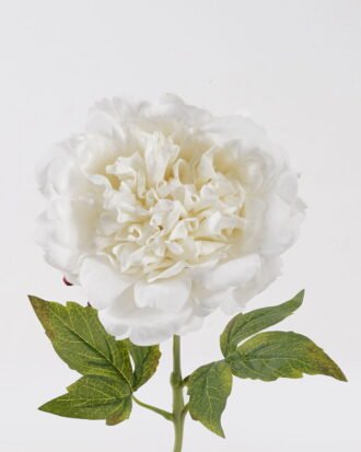 Artificial Flower 12*12*60cm Peony single stem(real touch) GS-75324010-W1 2024Nov YeahFlower is one of Chinese leading OEM manufacturers and exporters , supplying the silk flowers, wholesale artificial trees