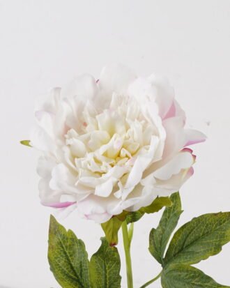 Artificial Flower 12*12*60cm Peony single stem(real touch) GS-75324010 2024Nov YeahFlower is one of Chinese leading OEM manufacturers and exporters , supplying the silk flowers, wholesale artificial trees