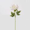 Artificial Flower Peony single stem real touch GS-75324010 _3 Artificial Flower 12*12*60cm Peony single stem(real touch) GS-75324010 2024Nov YeahFlower is one of Chinese leading OEM manufacturers and exporters , supplying the silk flowers, wholesale artificial trees