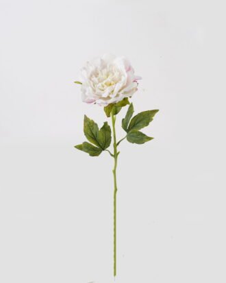 Artificial Flower 12*12*60cm Peony single stem(real touch) GS-75324010 2024Nov YeahFlower is one of Chinese leading OEM manufacturers and exporters , supplying the silk flowers, wholesale artificial trees