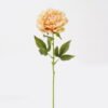 Artificial Flower Peony single stem real touch GS-75324010 _4 Artificial Flower 12*12*60cm Peony single stem(real touch) GS-75324010 2024Nov YeahFlower is one of Chinese leading OEM manufacturers and exporters , supplying the silk flowers, wholesale artificial trees
