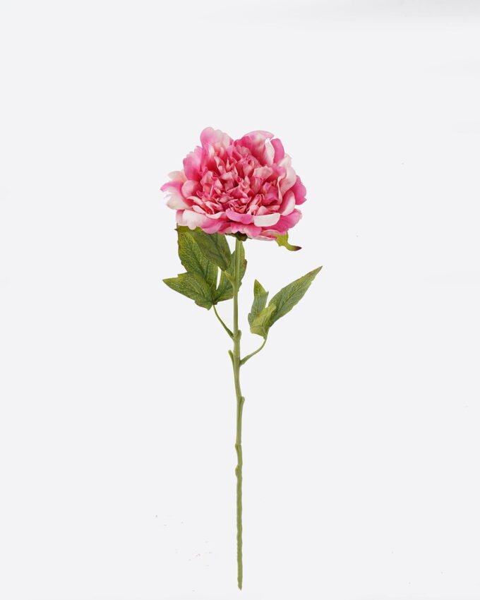 Artificial Flower Peony single stem real touch GS-75324010 _5 Artificial Flower 12*12*60cm Peony single stem(real touch) GS-75324010 2024Nov YeahFlower is one of Chinese leading OEM manufacturers and exporters , supplying the silk flowers, wholesale artificial trees