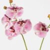 Artificial Flower 20*20*58cm Phalaenopsis *2 bush GS-75324003 2024Nov YeahFlower is one of Chinese leading OEM manufacturers and exporters , supplying the silk flowers, wholesale artificial trees