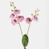 Artificial Flower 20*20*58cm Phalaenopsis *2 bush GS-75324003 2024Nov YeahFlower is one of Chinese leading OEM manufacturers and exporters , supplying the silk flowers, wholesale artificial trees