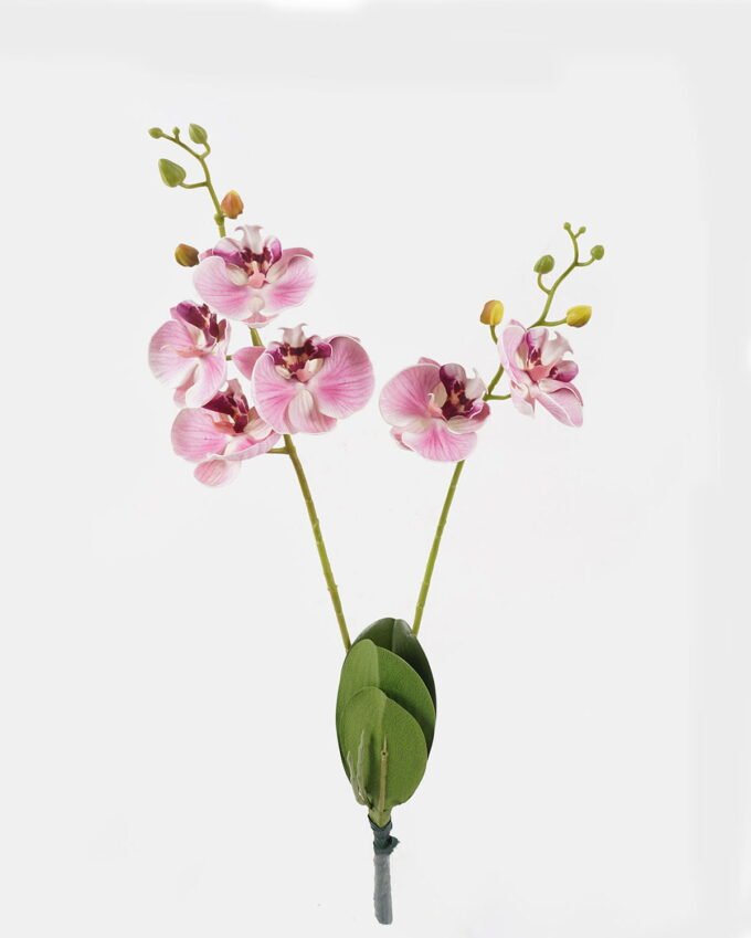 Artificial Flower 20*20*58cm Phalaenopsis *2 bush GS-75324003 2024Nov YeahFlower is one of Chinese leading OEM manufacturers and exporters , supplying the silk flowers, wholesale artificial trees