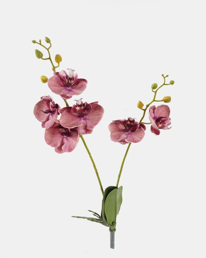 Artificial Flower 20*20*58cm Phalaenopsis *2 bush GS-75324003 2024Nov YeahFlower is one of Chinese leading OEM manufacturers and exporters , supplying the silk flowers, wholesale artificial trees