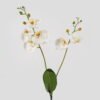 Artificial Flower 20*20*58cm Phalaenopsis *2 bush GS-75324003 2024Nov YeahFlower is one of Chinese leading OEM manufacturers and exporters , supplying the silk flowers, wholesale artificial trees