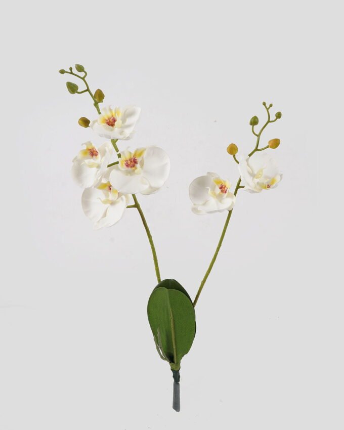 Artificial Flower 20*20*58cm Phalaenopsis *2 bush GS-75324003 2024Nov YeahFlower is one of Chinese leading OEM manufacturers and exporters , supplying the silk flowers, wholesale artificial trees