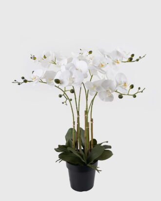 Artificial Flower 60*60*76cm Phalaenopsis *7 in PP pot GS-76324005 2024Nov YeahFlower is one of Chinese leading OEM manufacturers and exporters , supplying the silk flowers, wholesale artificial trees