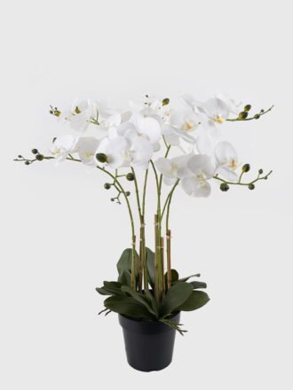 Artificial Flower 66*66*158cm Phalaenopsis *9 in PP pot GS-76324004 Potted Flowers&Plants 3,000+ sqm showroom with thousands of artificial flowers, plants & trees ready for global sourcing.