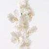 Artificial Flower 18*18*80cm Phalaenopsis *7 single stem GS-75324012-W1 2024Nov YeahFlower is one of Chinese leading OEM manufacturers and exporters , supplying the silk flowers, wholesale artificial trees
