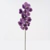 Artificial Flower Phalaenopsis 7 single stem GS-75324012-Z3_1 Artificial Flower 18*18*80cm Phalaenopsis *7 single stem GS-75324012-Z3 2024Nov YeahFlower is one of Chinese leading OEM manufacturers and exporters , supplying the silk flowers, wholesale artificial trees
