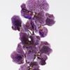 Artificial Flower Phalaenopsis 7 single stem GS-75324012-Z3_3 Artificial Flower 18*18*80cm Phalaenopsis *7 single stem GS-75324012-Z3 2024Nov YeahFlower is one of Chinese leading OEM manufacturers and exporters , supplying the silk flowers, wholesale artificial trees