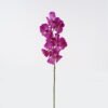 Artificial Flower Phalaenopsis 7 single stem GS-75324012 _4 Artificial Flower 18*18*80cm Phalaenopsis *7 single stem GS-75324012 2024Nov YeahFlower is one of Chinese leading OEM manufacturers and exporters , supplying the silk flowers, wholesale artificial trees