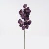 Artificial Flower Phalaenopsis 7 single stem GS-75324012 _6 Artificial Flower 18*18*80cm Phalaenopsis *7 single stem GS-75324012 2024Nov YeahFlower is one of Chinese leading OEM manufacturers and exporters , supplying the silk flowers, wholesale artificial trees