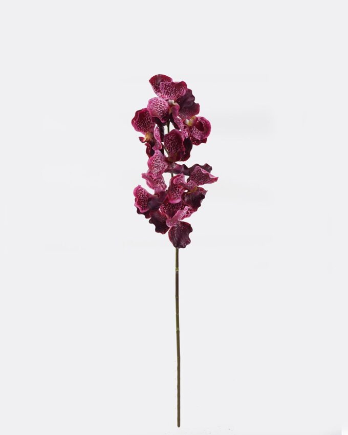 Artificial Flower Phalaenopsis 7 single stem GS-75324012_3 Artificial Flower 18*18*80cm Phalaenopsis *7 single stem GS-75324012 2024Nov YeahFlower is one of Chinese leading OEM manufacturers and exporters , supplying the silk flowers, wholesale artificial trees