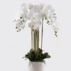 Artificial Flower 60*60*101cm Phalaenopsis *8 in PP pot GS-76324002 2024Nov YeahFlower is one of Chinese leading OEM manufacturers and exporters , supplying the silk flowers, wholesale artificial trees