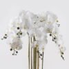 Artificial Flower 60*60*101cm Phalaenopsis *8 in PP pot GS-76324002 2024Nov YeahFlower is one of Chinese leading OEM manufacturers and exporters , supplying the silk flowers, wholesale artificial trees