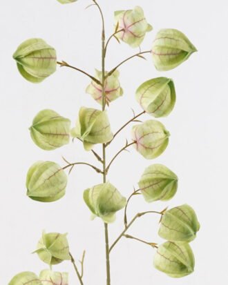 Artificial Flower 25*25*100cm Poha single stem GS-68124001-G1 2024Oct YeahFlower is one of Chinese leading OEM manufacturers and exporters , supplying the silk flowers, wholesale artificial trees Artificial Flower 25*25*100cm Poha single stem GS-68124001-G1 2024Oct YeahFlower is one of Chinese leading OEM manufacturers and exporters , supplying the silk flowers, wholesale artificial trees