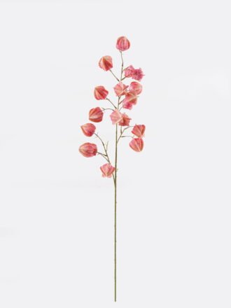 Artificial Flower 25*25*100cm Poha single stem GS-68124001-G1 Single Flowers 3,000+ sqm showroom with thousands of artificial flowers, plants & trees ready for global sourcing.