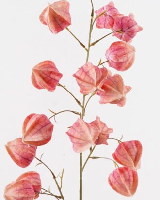 Artificial Flower 25*25*100cm Poha single stem GS-68124001-P2 2024Oct YeahFlower is one of Chinese leading OEM manufacturers and exporters , supplying the silk flowers, wholesale artificial trees Artificial Flower 25*25*100cm Poha single stem GS-68124001-P2 2024Oct YeahFlower is one of Chinese leading OEM manufacturers and exporters , supplying the silk flowers, wholesale artificial trees