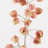 Artificial Flower 25*25*100cm Poha single stem GS-68124001 2024Oct YeahFlower is one of Chinese leading OEM manufacturers and exporters , supplying the silk flowers, wholesale artificial trees