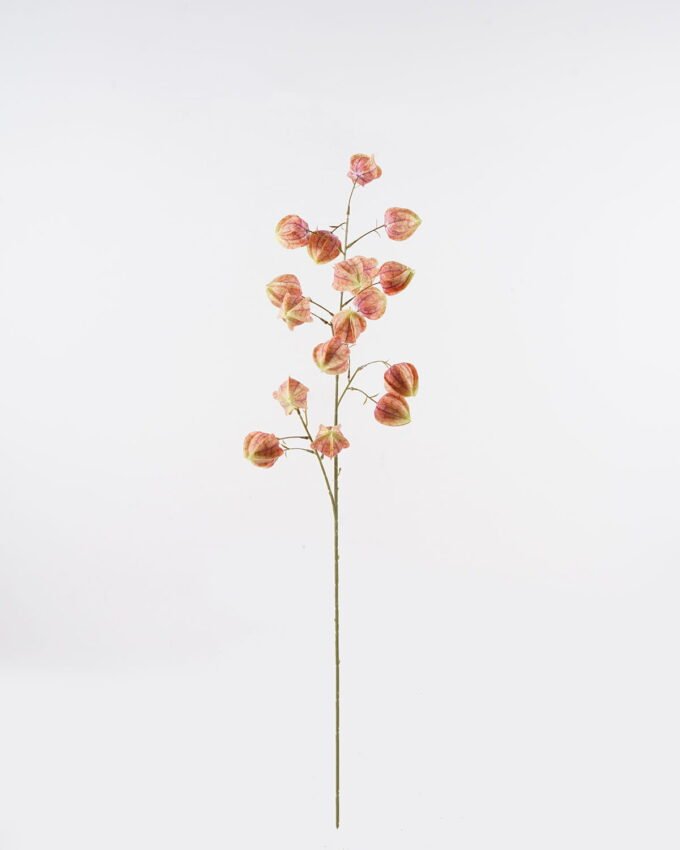 Artificial Flower 25*25*100cm Poha single stem GS-68124001 2024Oct YeahFlower is one of Chinese leading OEM manufacturers and exporters , supplying the silk flowers, wholesale artificial trees