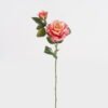Artificial Flower Rose 2 single stem GS-68124005-P2_3 Artificial Flower 18*18*66cm Rose *2 single stem GS-68124005-P2 2024Oct YeahFlower is one of Chinese leading OEM manufacturers and exporters , supplying the silk flowers, wholesale artificial trees