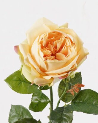 Artificial Flower 18*18*70cm Rose single stem(real touch) GS-75324004-Y1 2024Nov YeahFlower is one of Chinese leading OEM manufacturers and exporters , supplying the silk flowers, wholesale artificial trees