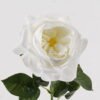 Artificial Flower 18*18*70cm Rose single stem(real touch) GS-75324004 2024Nov YeahFlower is one of Chinese leading OEM manufacturers and exporters , supplying the silk flowers, wholesale artificial trees