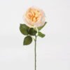 Artificial Flower 16*16*50cm Rose single stem(real touch) GS-75324009 2024Nov YeahFlower is one of Chinese leading OEM manufacturers and exporters , supplying the silk flowers, wholesale artificial trees