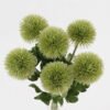 Artificial Flower Scallion ball 6 bundle 12 lvs GS-68124006_2 Artificial Flower 18*18*39cm Scallion ball *6 bundle/12 lvs GS-68124006 2024Oct YeahFlower is one of Chinese leading OEM manufacturers and exporters , supplying the silk flowers, wholesale artificial trees