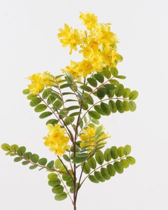 Artificial Flower 25*25*85cm Sophora flower  single stem GS-75824004 2024Nov YeahFlower is one of Chinese leading OEM manufacturers and exporters , supplying the silk flowers, wholesale artificial trees