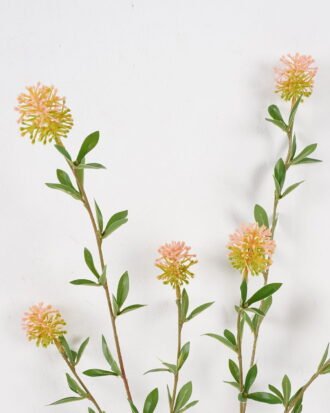 Artificial Flower 40*40*96cm Spinulosum single stem GS-62424005 2024Oct YeahFlower is one of Chinese leading OEM manufacturers and exporters , supplying the silk flowers, wholesale artificial trees Artificial Flower 40*40*96cm Spinulosum single stem GS-62424005 2024Oct YeahFlower is one of Chinese leading OEM manufacturers and exporters , supplying the silk flowers, wholesale artificial trees