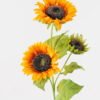 Artificial Flower 21*21*83cm Sunflower *3 single stem GS-63724004 2024Oct YeahFlower is one of Chinese leading OEM manufacturers and exporters , supplying the silk flowers, wholesale artificial trees