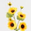Artificial Flower 22*22*77cm Sunflower *4 single stem GS-63724008 Single Flowers 3,000+ sqm showroom with thousands of artificial flowers, plants & trees ready for global sourcing.